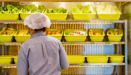 甘肅天水，“照搬”哈爾濱經(jīng)驗(yàn)仍難留熱度