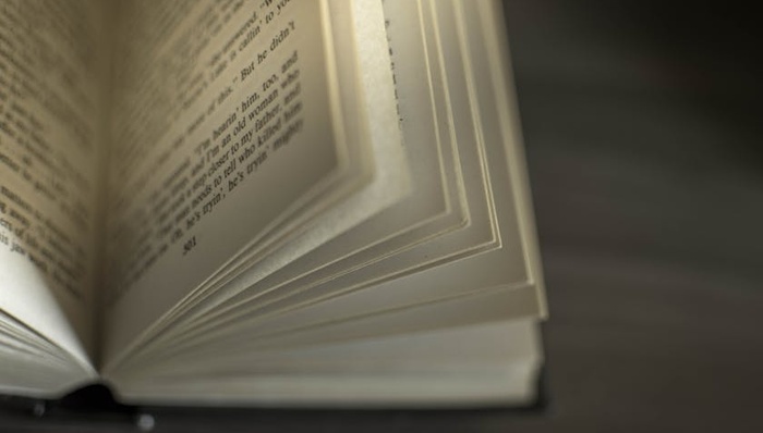 网络文学,阅文,财报,IP,AI,