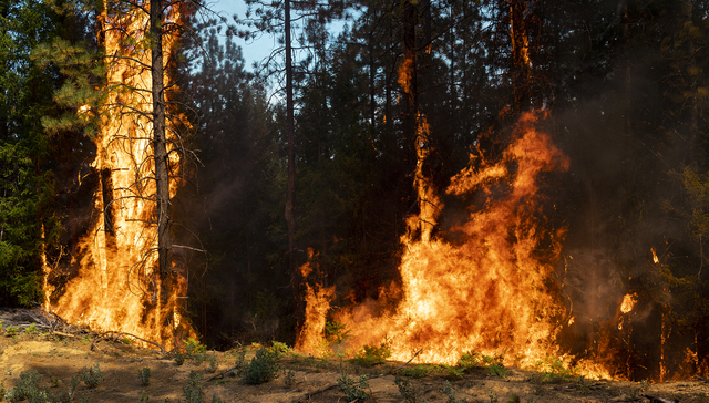 直通部委 | 应急管理部：清明假期抓好森林草原火灾等灾害防治 国家发改委印发《水运中央预算内投资专项管理办法》