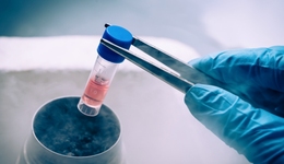 美妝巨頭們熱捧“再生醫(yī)學(xué)”，真科學(xué)還是真忽悠？