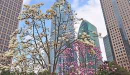 高層近期密集喊話穩(wěn)外資，利好政策持續(xù)加碼