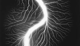 意外本身，才是最能够鼓舞我的事 | 3月沪京展览推荐