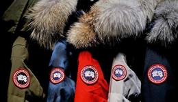 加拿大鵝神話，加速失靈