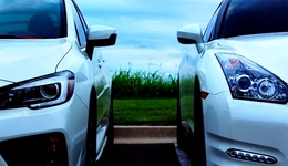 小米的“红”和新能源车的“黑”