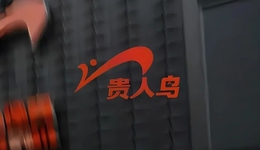 退市后，贵人鸟还会再起飞吗？