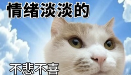 是退缩与麻木，还是逃避统治的艺术：“淡学”是个什么学？| 编辑部聊天室