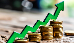 信也科技“双增”下有隐忧，出海能否撑起第二增长曲线？