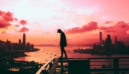 疯狂小杨哥和辛巴，踏入同一条河流