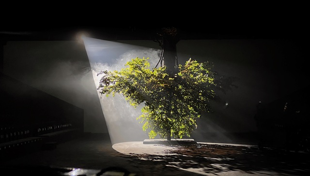 让时尚成为点亮生活的光｜2024秋冬上海时装周