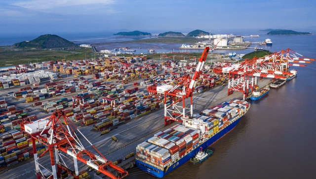 离岸贸易，印花税，临港新片区