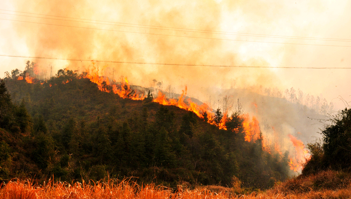 地方新闻精选 | 贵州长顺山火致3名镇干部死亡 海南今年已查处43宗不正当竞争案件
