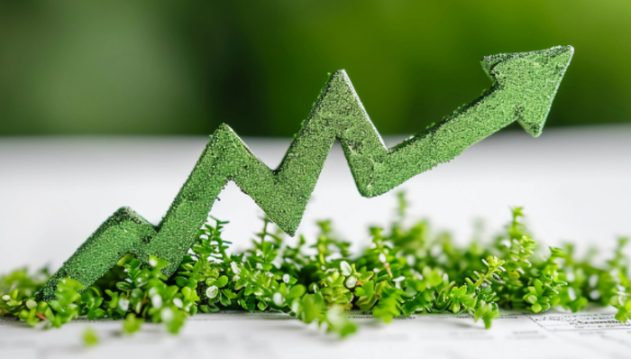 新能源,收购,*ST金时