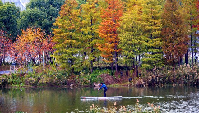 都知道嘉定有汽车城，现在它想做点别的