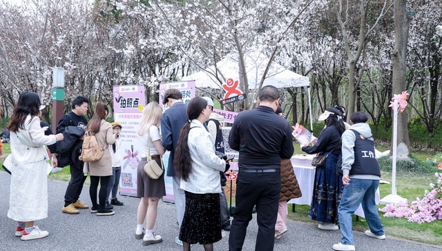 清明赏花正当时，上海市气象局联手大众点评实时播报“赏花情报”