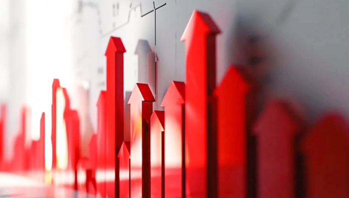 谱尼测试,大湖股份,国联水产