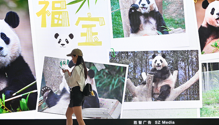 地方新闻精选 | 大熊猫“福宝”预计今晚抵达成都 铁岭责令停止公益性墓地超范围销售