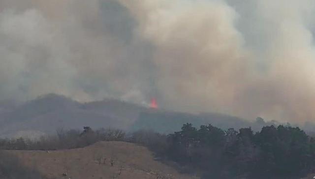 地方新闻精选 | 安庆发现野生江豚群 陕西将进一步加强建筑工人实名制管理