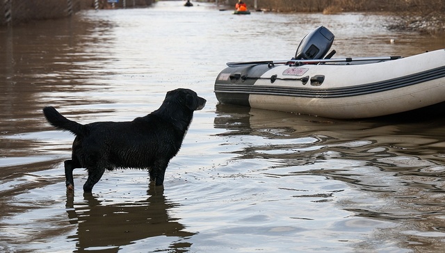 洪水致使俄乌拉尔流域万余民房被淹，50万人口中心城市严阵以待