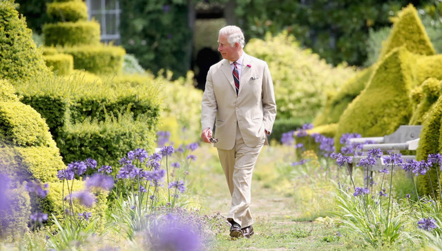 Burberry新联名园艺花卉上身，adidas Samba再次推出新配色联名｜是日美好事物