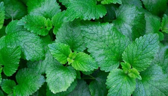 色彩价值,品牌营销,时尚,设计风格,