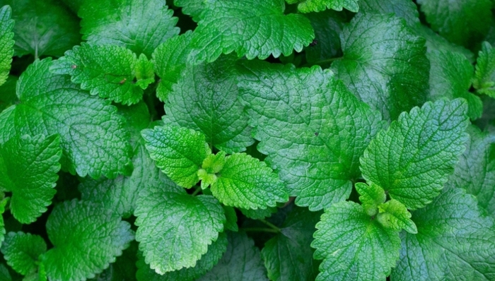 色彩价值,品牌营销,时尚,设计风格,