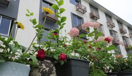 地方新聞精選 |  浙江推出全國首個老舊小區(qū)自主更新文件 云南多地發(fā)布森林火險預警