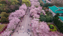 武大雷军班、清华“巅班”火出圈，高校也卷“尖子班”