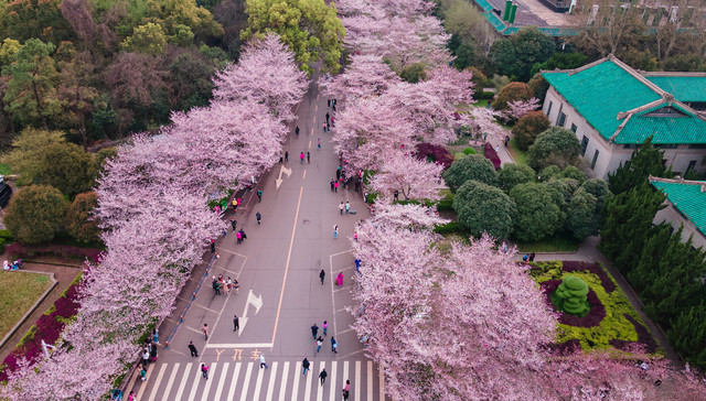 武大雷军班、清华“巅班”火出圈，高校也卷“尖子班”