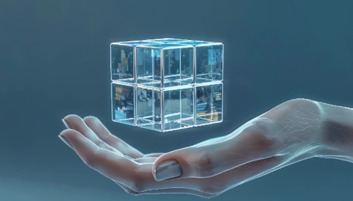 云从科技,佳都科技