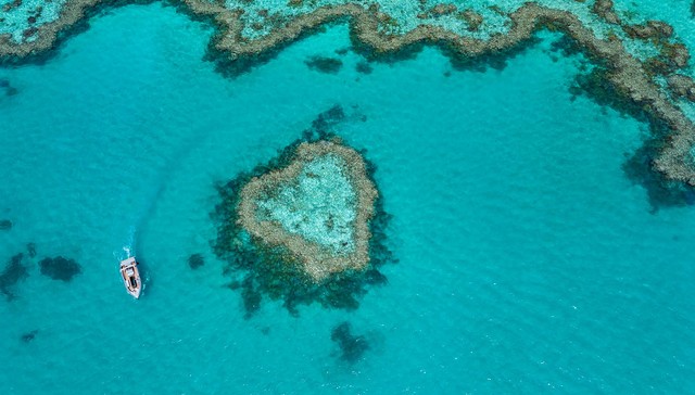 法航与荷航全新空铁联程客运站启用，温德姆酒店集团与《功夫熊猫4》推出联名活动 ｜ 一周旅行指南