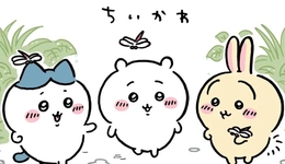 Chiikawa接力Loopy，魔性IP有啥魅力？