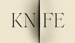 鲁西迪关于遇刺经历新作出版，巴黎为迎奥运驱逐无家可归者 | 文化周报