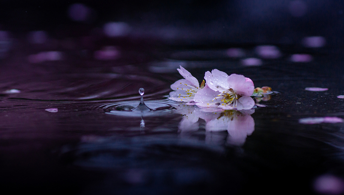 情感,抑郁症,书单控,外国文学