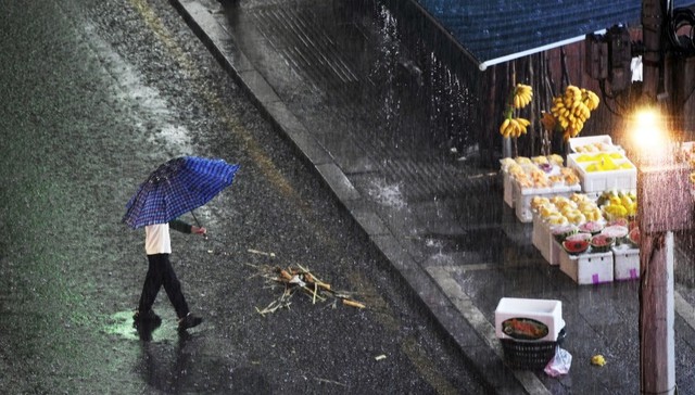 地方新闻精选 | 江西本月发4起雷电伤亡事故  上海发布新一轮万元新能源车置换补贴政策