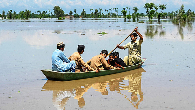 逃离家园，支起帐篷：巴基斯坦暴雨已致近百人死亡