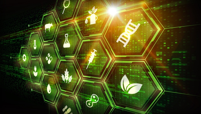 南大智慧城，上海宝山，合成生物，基因编辑，