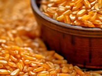 研報新知｜從研發(fā)到規(guī)模生產(chǎn)，這家公司合成生物學(xué)的路走通了