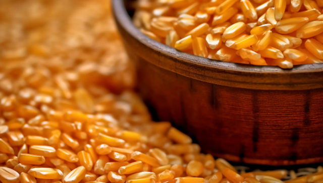 研报新知｜从研发到规模生产，这家公司合成生物学的路走通了