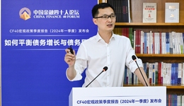 张斌：中国并没有创造过多的债务，反而是“钱还不够多”