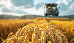 【評論】量子科技種莊稼？謹防偽科學毀了百姓“飯碗”