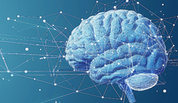 算力不足，小模型成AI模型发展下个方向？