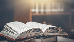 笑是一种掩饰，也是另一种沉默｜一周新书推荐