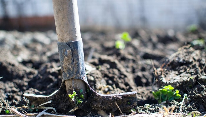 地方新闻精选 | 开鲁县回应被免职干部学历造假  天津官方通报“两名警务人员互殴”