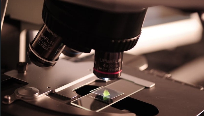 动物实验,科研,行业趋势,