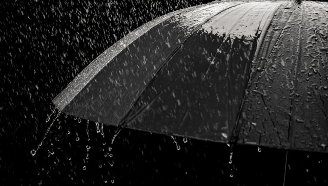 地方新闻精选 | 福建启动重大气象灾害Ⅳ级应急响应 云南官方通报“导游训话游客消费”