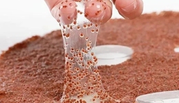 罰50萬(wàn)，海藻面膜又出事了