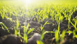 【追蹤】開魯縣承包地事件進入訴訟，庭前調(diào)解未達成協(xié)議