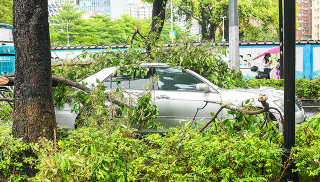 【图集】广东防汛应急响应调整为Ⅳ级，雨情趋缓但仍在持续