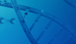 透视财报，华大智造的“击球区”出现了吗？