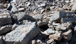 廣東梅大高速塌陷已致19死30傷，近期當?shù)氐刭|(zhì)災(zāi)害風(fēng)險高